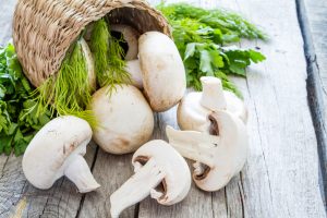Como cultivar cogumelos no jardim?