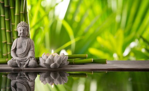 decoração feng shui