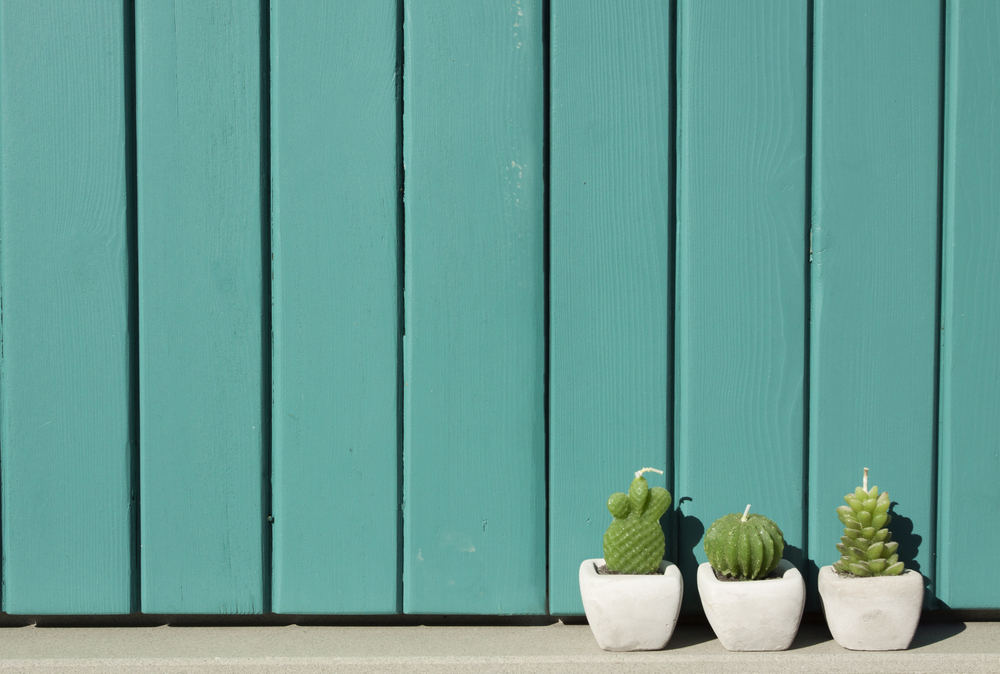velas em forma de cacto-decorar com cactos