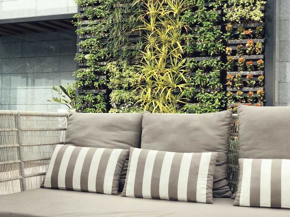 fertilizar jardins verticais