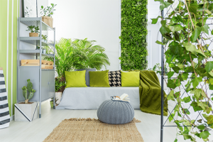 A manutenção dos jardins verticais