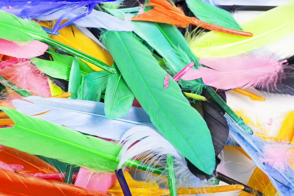 plumas de cores