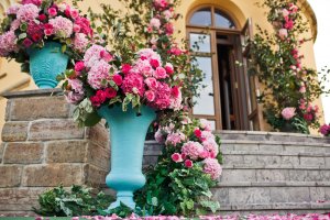 Dicas para a manutenção das roseiras