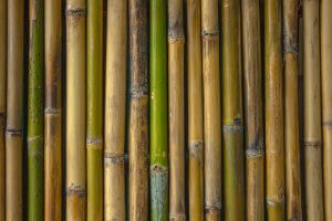 Decorar o banheiro com bambu: algumas ideias originais