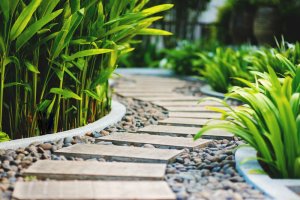 Caminhos no jardim: dicas para projetá-los