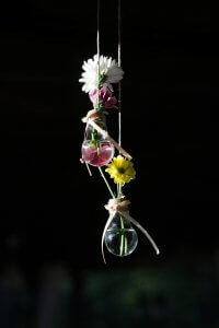 Lâmpadas velhas: como reutilizá-las