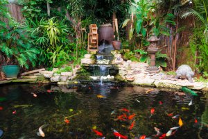 Tipos de fontes para decorar o seu jardim