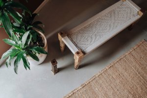 Plantas naturais ou artificiais: como escolher a mais adequada?