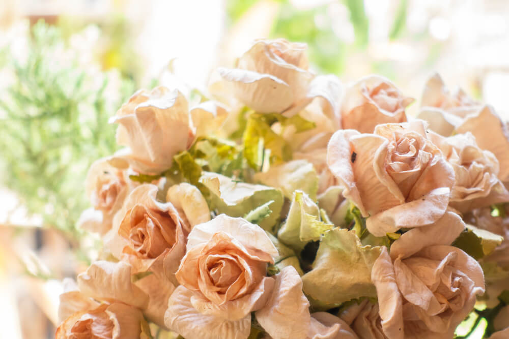 plantas naturais ou artificiais