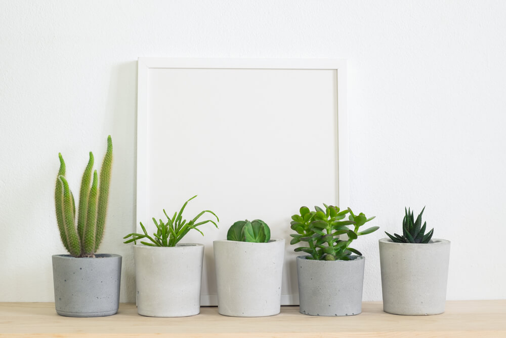 Respeite as texturas e a estética do entorno