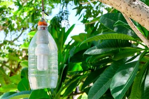 Faça as suas próprias luminárias em poucos passos