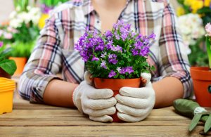 Como decorar vasos com pedras