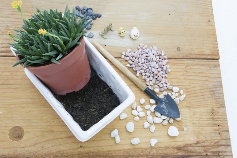 Cole as pedras nos seus vasos