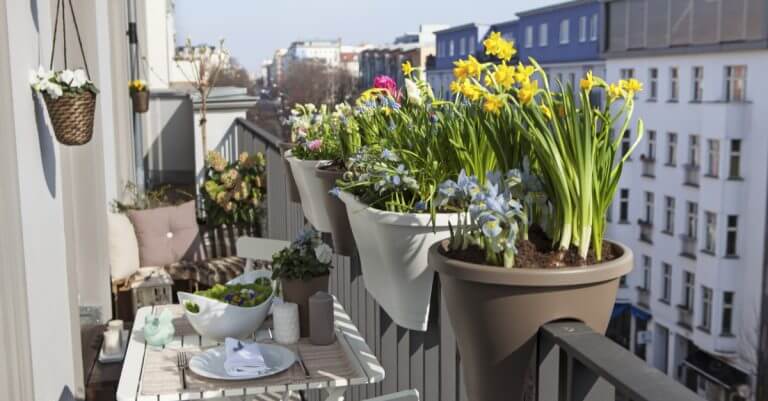 Dicas para decorar com vasos suspensos