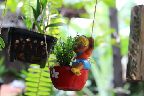 Decore suas janelas com flores no exterior da casa