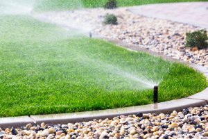Sistemas de irrigação automática para o jardim