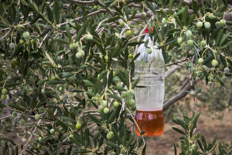 Adicione água com açúcar