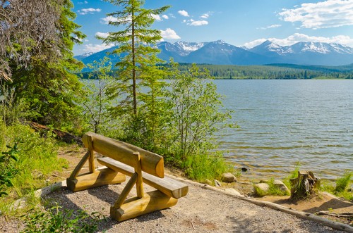 Como decorar com móveis de madeira?