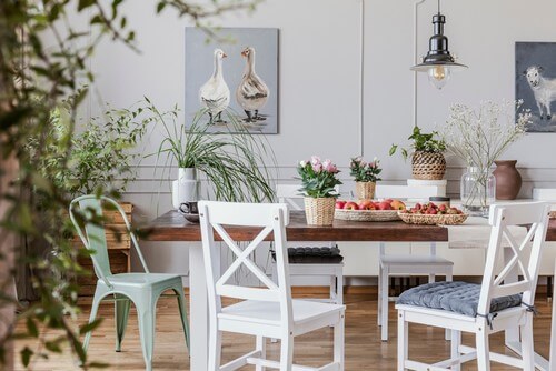 Incorpore plantas e flores para dar vida à sua casa