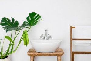 Banheiro integrado com a natureza