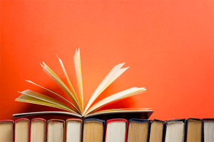 Sugestões para organizar os livros na estante