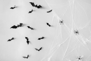 Decprar a cozinha a a sala de jantar