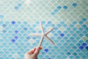 Os azulejos escamas de peixe para banheiros