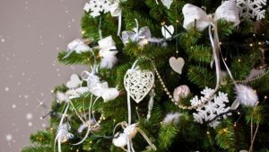 Como escolher a sua árvore de Natal?