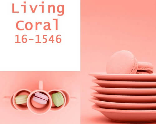 A cor do ano Pantone para 2019