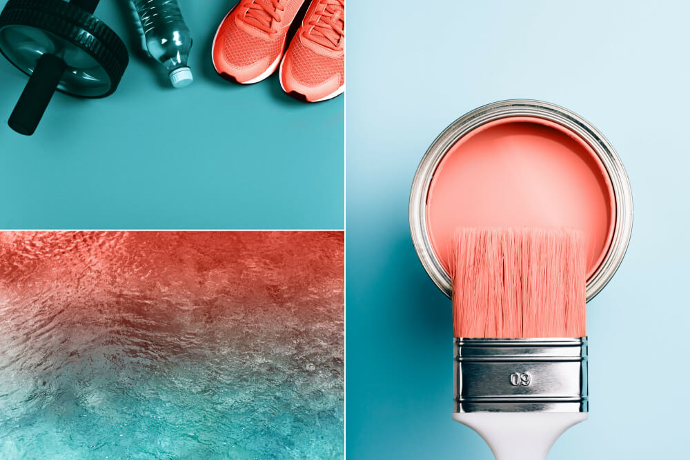 O que pretende-se alcançar com a Living Coral