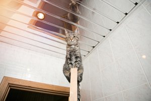 3 dicas para colocar espelhos no teto