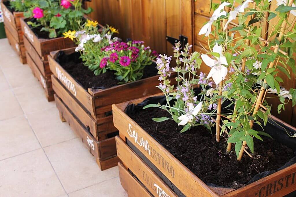 jardins em miniatura com caixotes de madeira