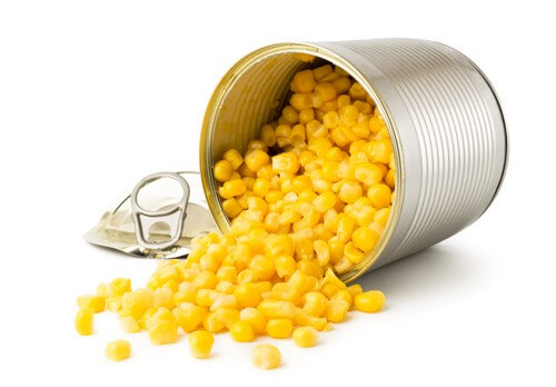 Ao preparar um kit de terremotos, o mais recomendável é incluir vários alimentos enlatados