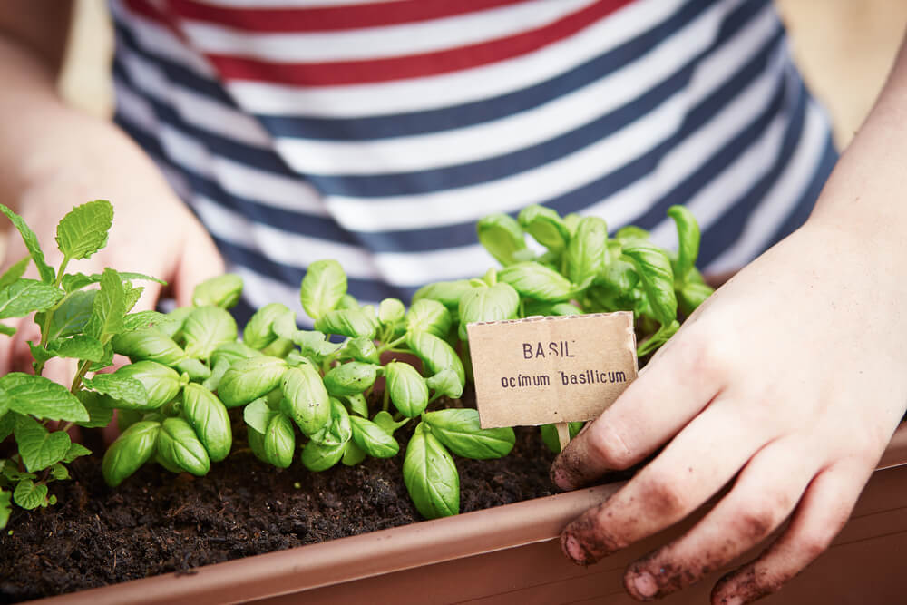 Possibilidades oferecidas por um terraço