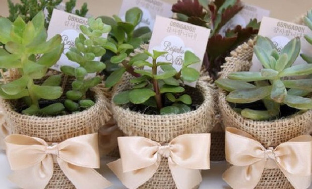 vasos de estopa de linho