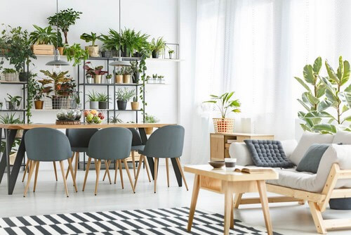 O que se pode conseguir na sala de jantar?