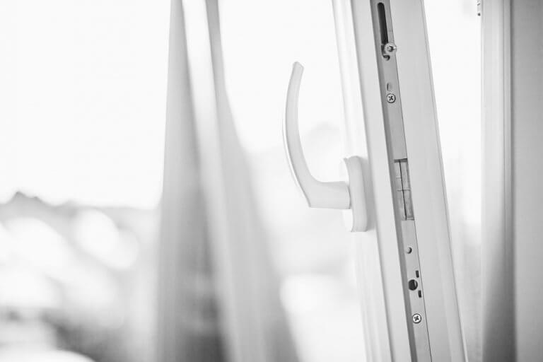 Suas características