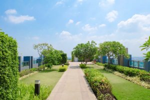 Telhado verde: tudo o que você precisa saber