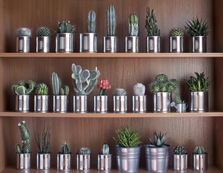 Latas de alimentos