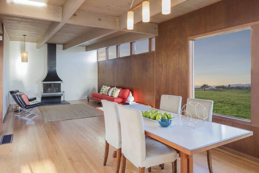 Amor pelas linhas puras