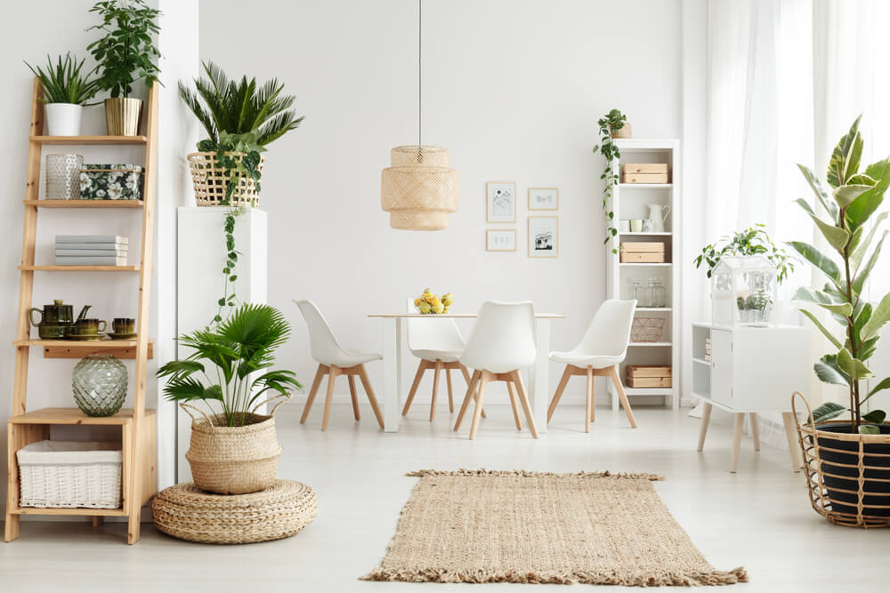 maneiras de decorar a sua casa com plantas
