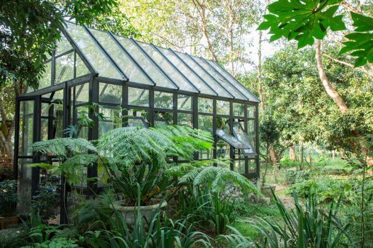 Um lugar ideal para as suas plantas