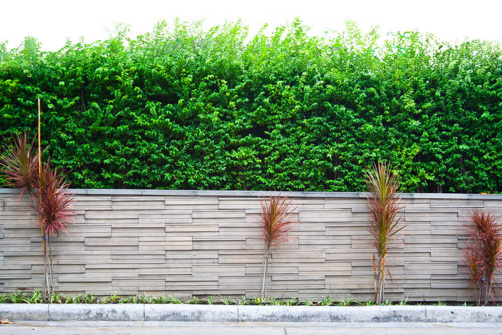 Tipos de muro para o jardim
