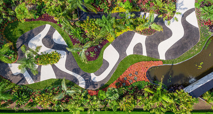 Burle Marx e o nascimento do paisagismo moderno