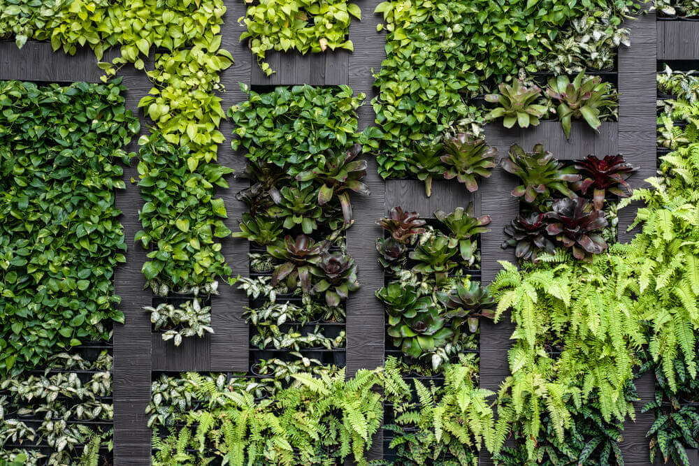 Tipos de muro para o jardim da sua casa