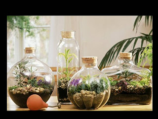 fazer um jardim eterno