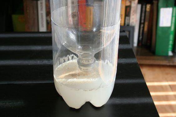 fórmulas para se livrar dos insetos em casa