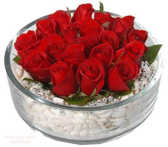 Pedras e rosas