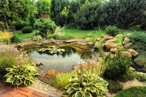 3 tipos de lago para áreas externas
