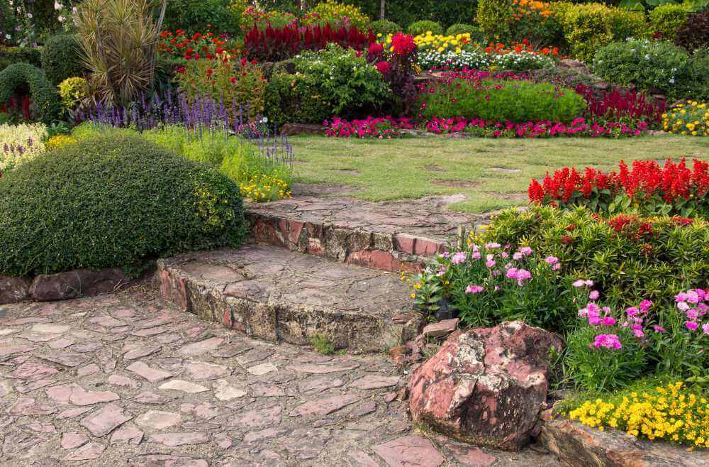 Jardim de verão: uma explosão de cores